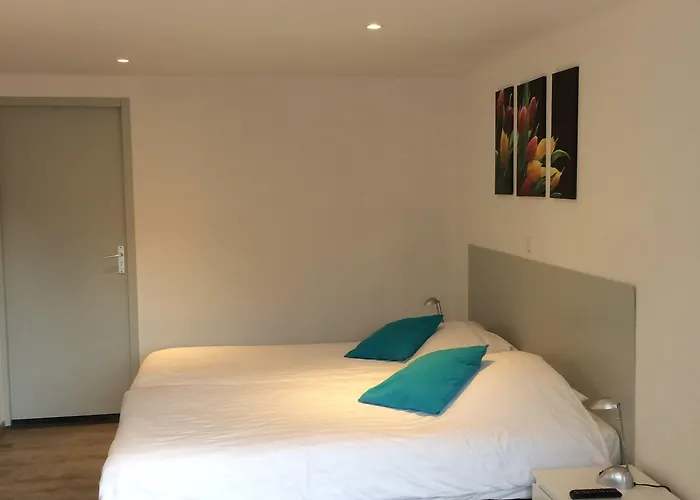 酒店 德西客酒店 3*