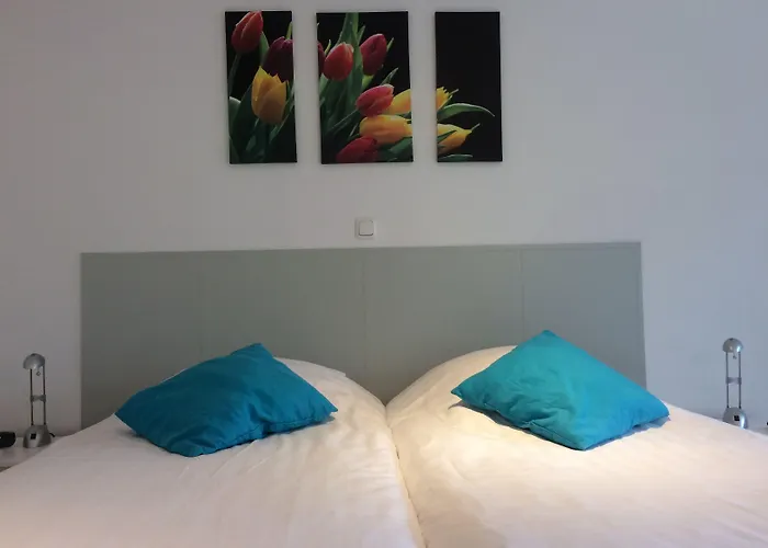 酒店 德西客酒店 3*